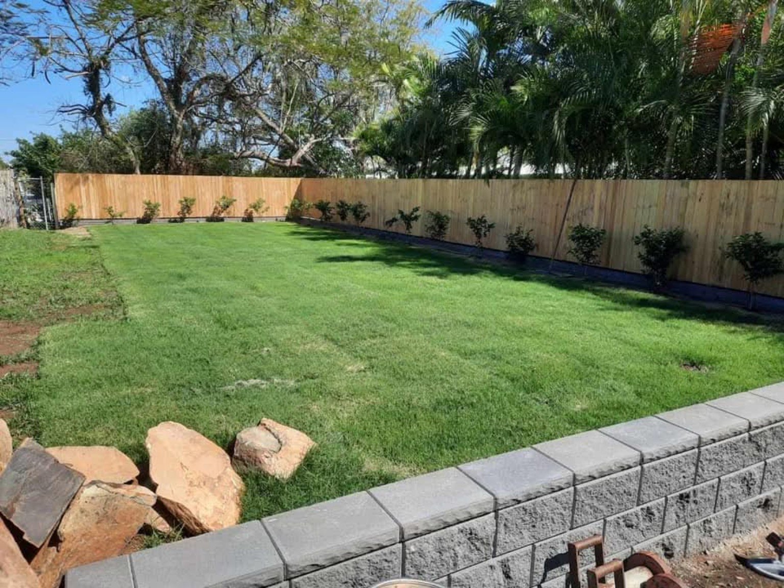 Finished backyard transformation with fresh turf