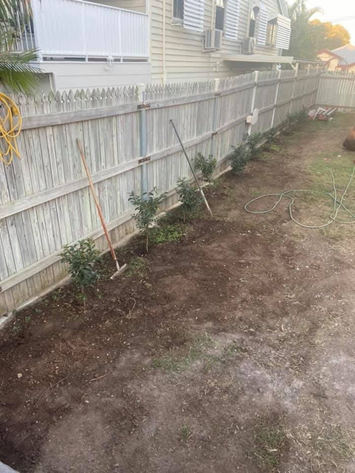 Garden planting and fence