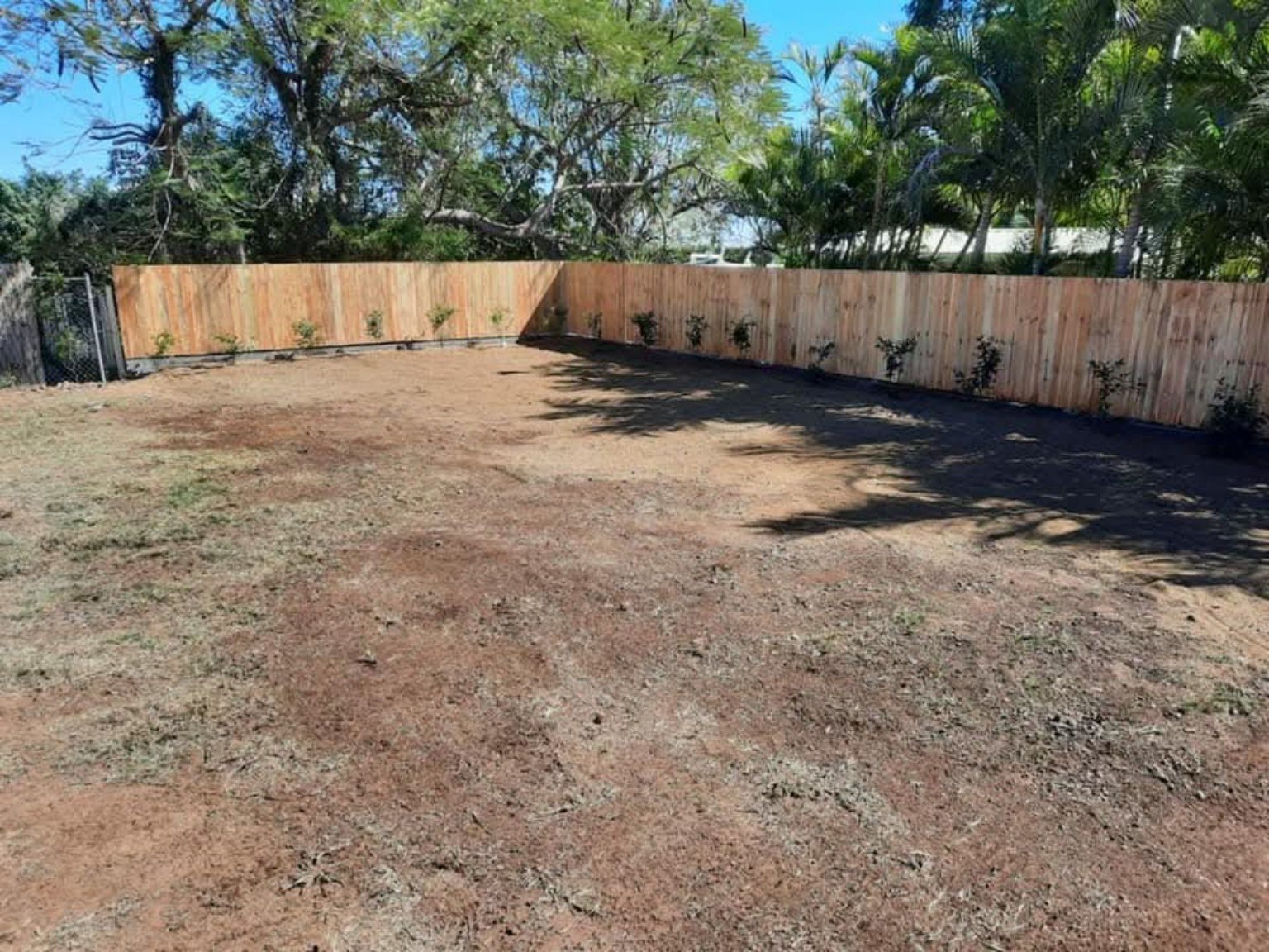 Backyard before landscaping with bare ground